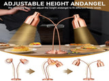 HT-221 US Standard 110V 500W Dual-Head Food Warmer Rose Gold Stainless Steel Standing Electric Food 26813818