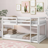 Solid Wooden, Solid Rubber Wooden Twin over Twin Loft Bed with Ladder, with Bed Platform of W504P191666