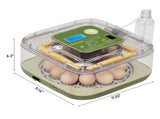US Standard FYY-12 Egg Incubator, 110V, 35W, 12 Eggs Capacity, Square & Round Tray, Equipped with 1 11821785