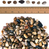 38lbs Decorative Garden Stone Outdoor Landscaping, Walkways, Yard, 1-3 inch Large Polished River W3280P296559