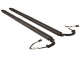 2Pcs Rear Left Right Power Lift Gate Cylinder Struts Fit for 2015-2019 Nissan Murano 3.5L 73029411