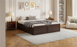 Wood Queen Size Platform Bed Frame with 6 Drawers, Espresso N709P241723P