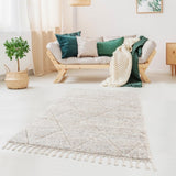 Talas Trellis Area Rug in Cream B03599882