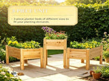 Set of 3 Natural Wooden Elevated Planter Boxes with Legs & Liner for Vegetables, Herbs & Flowers 36918685