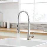 Commercial Brushed Nickel Kitchen Faucet with Pull out Sprayer, Single Handle Single Lever Kitchen W1932P288182