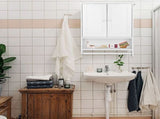 Wall Hanging Cabinet with Two Doors Wall Washer Storage Cabinet 45404766