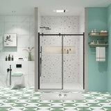 Glass shower door, sliding door, with 5/16