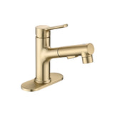 Bathroom Faucet with Pull Out Sprayer, Single Handle Modern Bathroom Basin Faucet with Pop-up W1224P290215