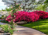 7'8" H x 4'5" W Metal Garden Arch Trellis,Adjustable Arbor Trellis for Garden Climbing Plants 55496277
