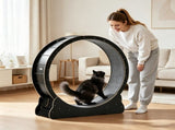 Wooden Cat Exercise Wheel 23208864