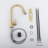 Single Handle Stainless Steel Kitchen Sink Faucet with Pull Down Sprayer W2287P354628