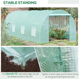 ZNTS Walk-in Greenhouse 20x10x7ft Garden conservatory 76405274