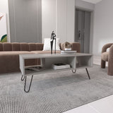 Vassel Coffee Table, Hairpin Legs, Two Shelves B200P235842