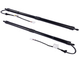 2Pcs Powerlift Tailgate Strut For 2018-2024 Lexus UX 200 200h 6802076010 6801076010 12958441
