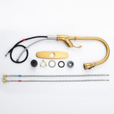 Gold Faucet with Pull Out Sprayer Brushed Gold Single Handle 1 Hole High Arc Pull Out W1932124131