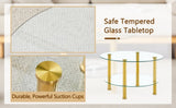 Contemporary Minimalist Double Layer Tempered Glass Coffee Table - 27.5" Top and 23.6" W1151P234005