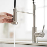 Kitchen Faucet with Pull Down Sprayer Brushed Nickel Stainless Steel Single Handle Pull Out Spring W1932P224854