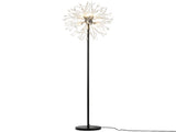 Dandelion Floor Lamp, Matte Black & Chrome Finish Metal Body with Glass Shade, Modern Standing Lamp W6558P574566