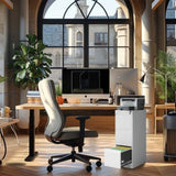 3 Drawer Metal Vertical File Cabinet with Lock Office Home Steel Vertical File Cabinet for A4 30844462