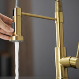 Kitchen Faucet with Pull Down Sprayer Brushed Gold Stainless Steel Single Handle Pull Out Spring W1932P224874