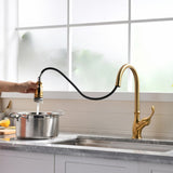 Gold Faucet with Pull Out Sprayer Brushed Gold Single Handle 1 Hole High Arc Pull Out W1932124131