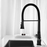 Kitchen Faucet with Pull Down Sprayer W2287P264769