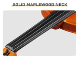 Brand new 4/4 acoustic matte tiger stripe violin set includes phonetic symbols sticker, tuner, 31801211