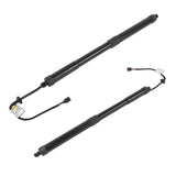 Set of 2 Rear Left and Right Tailgate Lift Support Fit for Kia Sedona Van 3.3L V6 2015-2021 Black 74844591