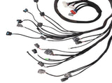 OBD2 D&B-series Tucked Engine Wire Harness Fit For 1992-2000 Honda Civic B16 B18 D16 11775816