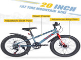 20 Inch Kids Bicycles , Fat Tire Mountain Bike for Boys and Girls Age 5 Years ,7-Speed Dual-Disc W1019P203875