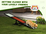 Dog Agility Ramp Pet Seesaw 30628211