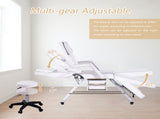 Massage Salon Tattoo Chair with Two Trays Esthetician Bed with Hydraulic Stool,Multi-Purpose W1422132167