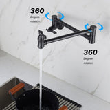 Wall Mount Folding Kitchen Pot Filler Faucet W2287P185983