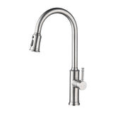 Kitchen Faucet with Pull Out Spraye TH4026NS01