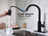 Single Handle Pull Down Kitchen Faucet with Dual Function Sprayhead 14563295