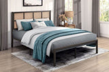 1pc Queen Platform Bed, Metal Frame Dark Bronze Finish Faux Cane Panel Headboard Casual Coastal B011P214030