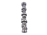 Camshaft Replacement for 2012-2022 6.4L Hemi Chrysler 300 Dodge Challenger Charger Jeep OHV 19953130
