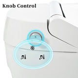 Smart toilet with Built-in Seat, One Piece Elongated Modern Toilet with Adjustable Temp N753P222587W