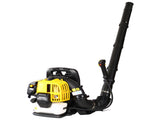 Gasoline Blower EPA Compliant W46537643