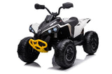 ZNTS Kids ATV 24V, Licensed BRP Can-am Two Seater Ride on Cars for Kids w/ 4x200W Powerful Motor, W2058P211235