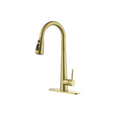 ZNTS Gold Kitchen Faucets with Pull Down Sprayer, Kitchen Sink Faucet with Pull Out Sprayer,Fingerprint 93404954