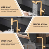Kitchen Sink, Nickel Gold Kitchens with Pull out Sprayer, Bar Single Hole W1932P218070