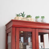 Lighted Glass Curio Display Cabinet,Display Cabinet,Glass Storage Cabinet Glass Wine cabinet Wood W2275P178796