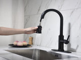Single Handle Pull Down Kitchen Faucet with Dual Function Sprayhead 14563295