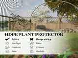 Crop Cage, Garden Plant Protector 01341576