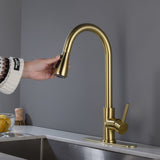 Single Handle Stainless Steel Kitchen Sink Faucet with Pull Down Sprayer W2287P354628