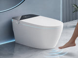 Smart Toilet With Bidet Built In Tank, One-piece Bidet Toilet Seat, Auto Flush, Auto W3598P573059