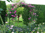 7'8" H x 4'5" W Metal Garden Arch Trellis,Adjustable Arbor Trellis for Garden Climbing Plants 55496277