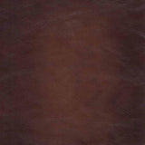 Brookfield Top Grain Leather Sofa Couch B2705P211767