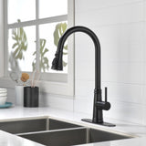 ZNTS Single Handle High Arc Pull Out Kitchen Faucet,Single Level Stainless Steel Kitchen Sink Faucets 30523616